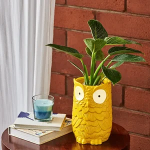 Enchanted Owl