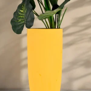 LP 67
