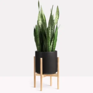 LUXE PTW 14