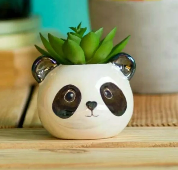 Panda Grove